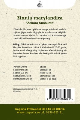 Zinnia, Maryland-, Zahara Sunburst
