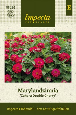 Zinnia, Maryland-, Zahara Double Cherry
