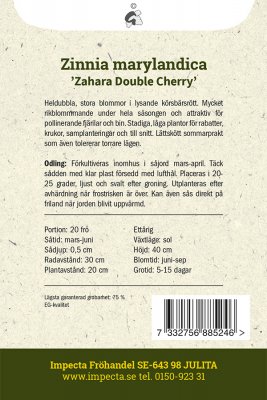 Zinnia, Maryland-, Zahara Double Cherry