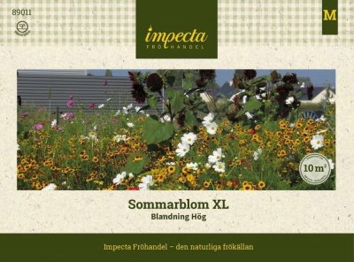 Sommarblommor XL Blandning Hög
