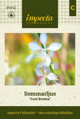 Sommarljus, Cool Breeze