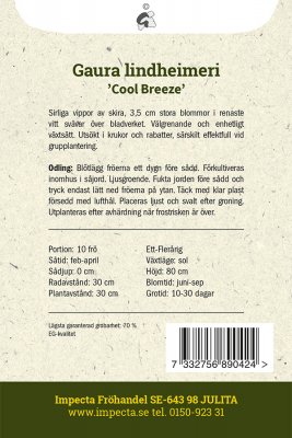 Sommarljus, Cool Breeze