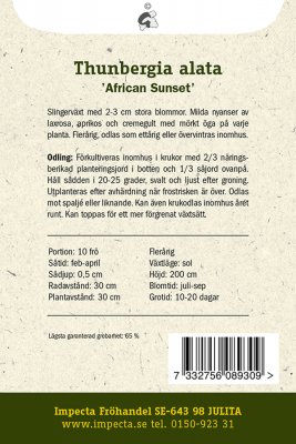 Svartöga, 'African Sunset'