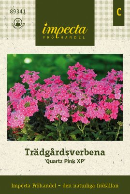Verbena, Trädgårds-, Quartz XP Pink