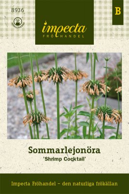 Sommarlejonöra Shrimp Cocktail