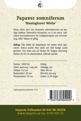 Vallmo, Enkel, 'Sissinghurst White'
