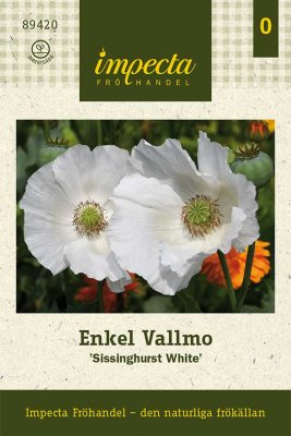 Vallmo, Enkel, 'Sissinghurst White'