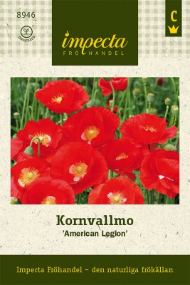 Vallmo, Korn-, American Legion