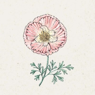 Sömntuta, Thai Silk Apple Blossom