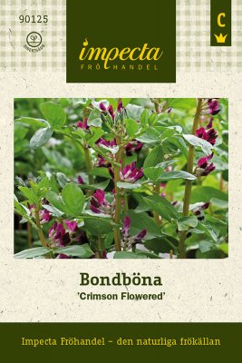 Böna, Bond-, Crimson Flowered