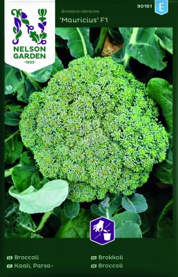 Broccoli Mauricius F1