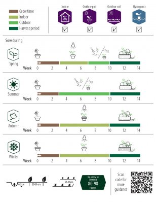 Citronmeliss, Lemona, Ekologisk