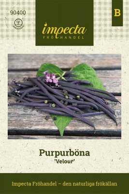 Böna, Purpur-, Velour