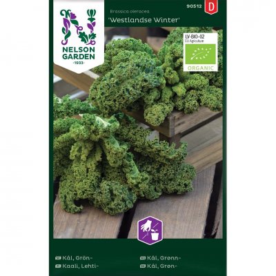 Kål, Grön-, Westlandse Winter, Ekologisk