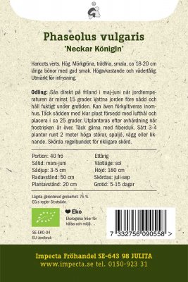 Böna, Störbryt-, 'Neckar Königin', Ekologisk