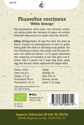 Böna, Rosen-, 'White Emergo', Ekologisk