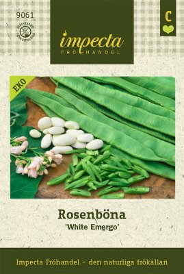 Böna, Rosen-, 'White Emergo', Ekologisk