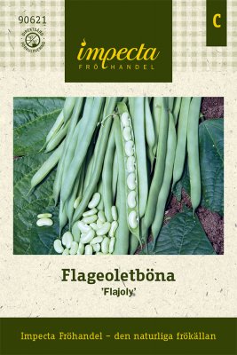 Böna, Flageolet-, Flajoly