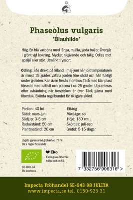 Böna, Störpurpur-, 'Blauhilde', Ekologisk