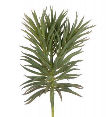 Succulent 24cm, Konstgjord