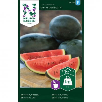 Melon, Vatten-, Little Darling F1