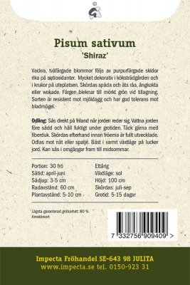 Ärt, Socker-, 'Shiraz'