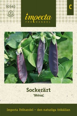 Ärt, Socker-, 'Shiraz'