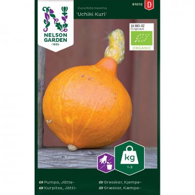 Pumpa, Jätte-, Uchiki Kuri, Ekologisk