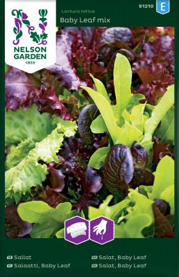 Sallat, Baby Leaf, mix, Såband