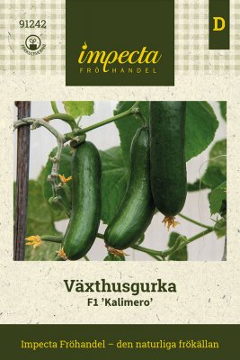 Växthusgurka Kalimero F1