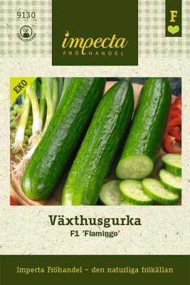 Gurka, Växthus-, 'Flamingo' F1, Ekologisk