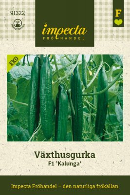 Växthusgurka F1 Kalunga