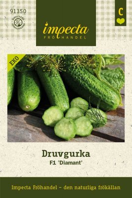 Gurka, Druv-, 'Diamant' F1, Ekologisk