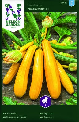 Sommarsquash Yellowstar F1