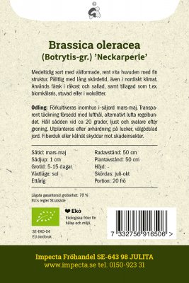 Blomkål Neckarperle