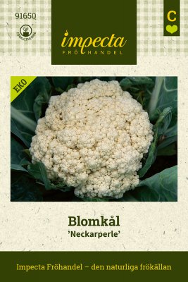 Blomkål Neckarperle