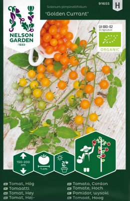 Tomat, Golden Currant