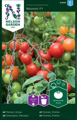 Tomat, Kruk-, Bitonto F1