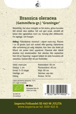 Brysselkål Groninger