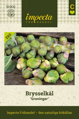 Brysselkål Groninger