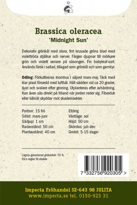 Kål, Grön-, Midnight Sun