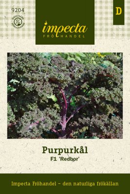 Kål, Purpur-, F1 Redbor