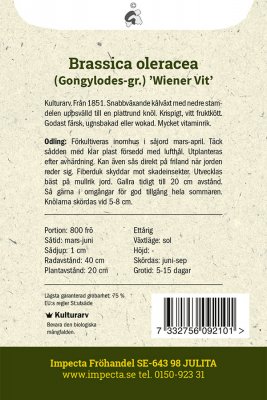 Kålrabbi, Wiener Vit