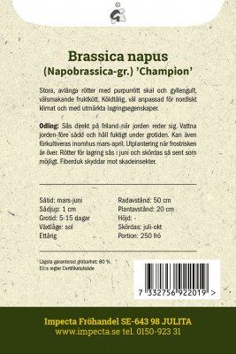 Kålrot Champion