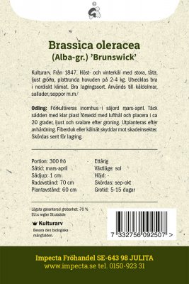 Kål, Vit-, Brunswick