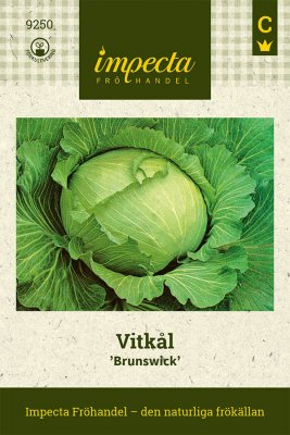 Kål, Vit-, Brunswick