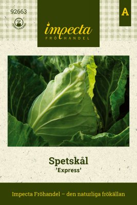 Spetskål Express