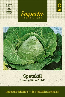 Spetskål Jersey Wakefield