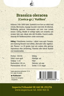 Kål, Spets-, Kalibos
