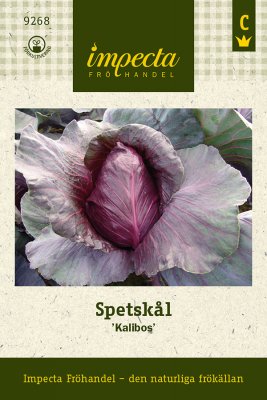 Kål, Spets-, Kalibos